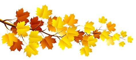 autumn leaves clipart|fall leaves background clip art.